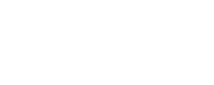 Dominguez Brothers LLC Logo White